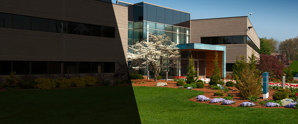 Tarpon Springs Landscapers